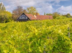 Win One night luxury stay for two at award-winning Toppesfield Vineyard, worth £300