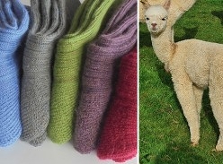 Win 6 Pairs of All-British Alpaca Posh Socks