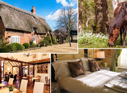 Win a 2-Night Escape to The New Forest