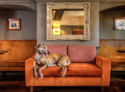 Win a Dog Friendly Norfolk Pub Stay with the Chestnut Group