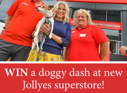 Win a Doggy Dash at New Jollyes Pet Superstore