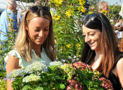 Win a Family Day Out at Harrogate Flower Show Including Gardening Advice