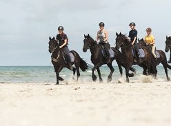 Win a Horseback Riding Break in the Netherlands