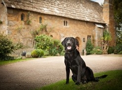 Win a Stay at Baillifscourt Hotel & Spa for You and Your Dog