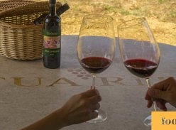 Win a Tour of the Tua Rita Winery in Suvereto