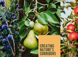 Win a Trio of Fruit Trees