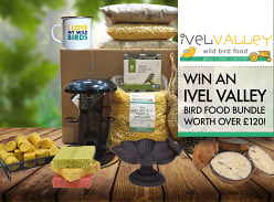 Win an Ivel Valley Bird Food Bundle