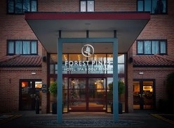 Win an Overnight Stay at Forest Pines Hotel