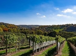 Win an Overnight Stay at Woodchester Valley Vineyard