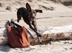 Win personalised goodies for your pooch