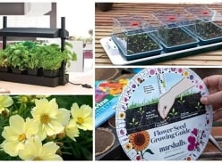 Win the Ultimate Flower Seed Sowing Bundle