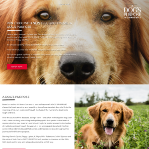 Win £1,000 & tickets to A Dog's Purpose