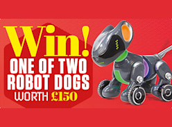 Win 1 of 2 Robot Dogs