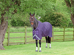 Win a £1,000 Prize Bundle from Premier Equine