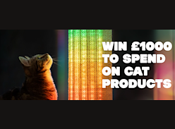 Win £1,000 to spend on your Dream Cat Bundle from Omlet