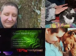Win £1200 Inner Peace Transformation with Calm Liz Clifton