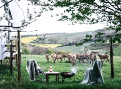 Win a £150 Voucher for a Shepherd's Hut Stay at Ash Farm