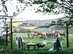 Win a £150 Voucher for a Shepherd's Hut Stay at Ash Farm