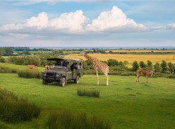 Win a £1,500 Safari Getaway at Port Lympnes Bear Lodge