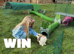Win £1K to spend on a Custom Bunny Setup