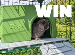 Win £1K to build your dream bunny set up