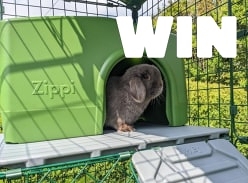 Win £1K to build your dream bunny set up