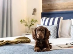 Win a 2 Night UK Holiday Stay with Petspajamas