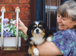 Win 2 Stylish Plant Pot Grab Rails Plus Installation