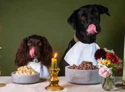 Win 1 of 5 £200 of Fresh Cooked Dog Food