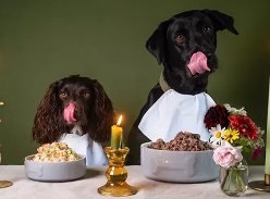 Win 1 of 5 £200 of Fresh Cooked Dog Food