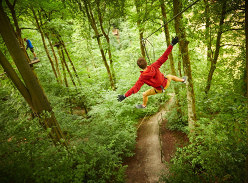 Win £200 to spend at Go Ape