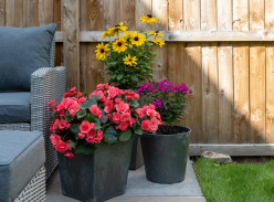 Win £200 to spend on Tierra Verde Planters from Primeur