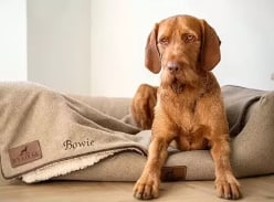 Win a £250 Gift Card to spend at Ivy & Duke