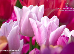 Win a £250 Peter Nyssen Voucher
