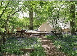 Win a 3 Night Glamping Stay at Knepp