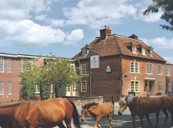 Win a £500 New Forest Stay with Dinner, Fizz and Treatments