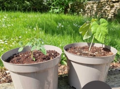 Win 6 Months of Grow Your Own Monthly Subscription