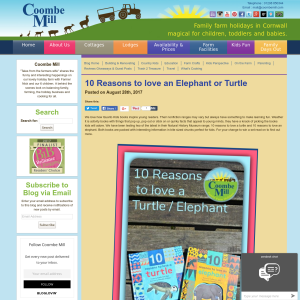 Win a 10 Reasons To Love Elephants And Turtles Book