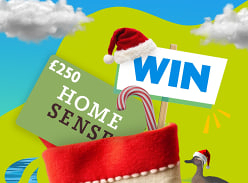 Win a £250 Homesense Voucher