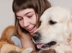 Win a £500 Paws & Stay Voucher for the Ultimate Holiday with Your Dog
