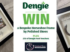 Win a Bespoke Horseshoe Frame by Polished Shoes Plus £50 of Dengie Feed Vouchers