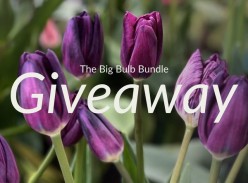 Win a Big Bulb Bundle