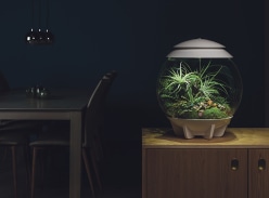 Win a biOrb AIR Automatic Terrarium