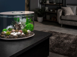 Win a biOrb Aquarium