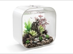 Win a biOrb LIFE 30 MCR Aquarium