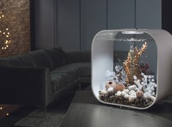 Win a biOrb LIFE 30L MCR Aquarium