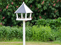Win a Bird Table