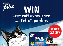 Win a Cat Cafe Experience & Bundle of Felix Goodies