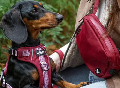 Win a Doggie Bundle