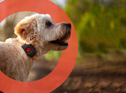 Win a FitBit Versa 4 & a PitPat GPS